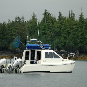 Barrel o Monkeys in Bass Harbor