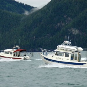 Sea Duck and 3rd Byte running