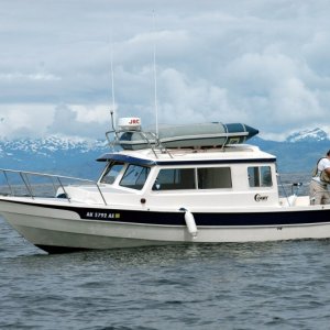 Blue Sea fishing off Cabin Bay