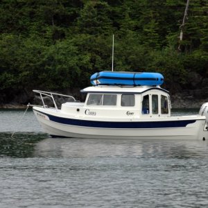 Coho in Bass Harbor