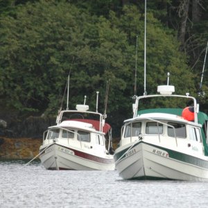 DogOnDory and 3rd Byte in Bass Harbor