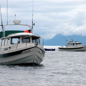 DogOnDory and Bidarka in Bass Harbor