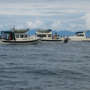 (3rd Byte) DogOnDory, Blue Sea and Barrel of Monkeys off Cabin Bay, Naked Island, AK.
Left to right, a 22' Cruiser, 25' C-Dory, and a 24' TomCat.