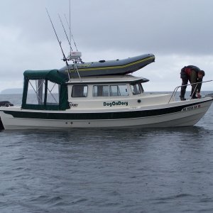 (C-Biscuit) Dogon Dory in Bass Harbor