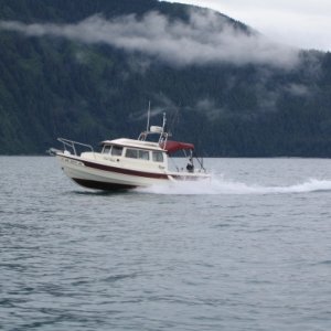 3rd Byte in Valdez Arm