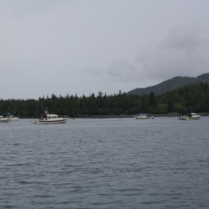 C-Dory Harbor (also known as Bass Harbor)