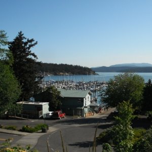 Friday Harbor