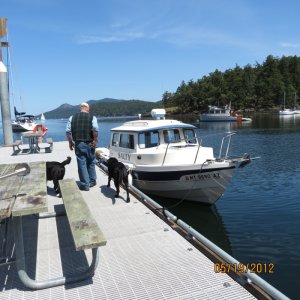 Media 'Salty on a day cruise to Jones Island' in album 'Friday Harbor'