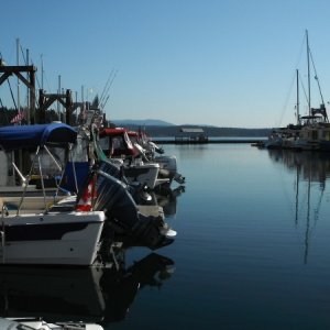 Media 'DSCF0239' in album 'Friday Harbor'