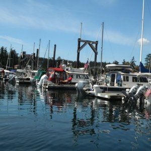 DSCF0247