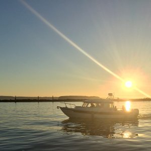 Media 'Sunset Cruise' in album 'Oak Harbor Marina'