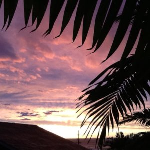 Media 'Sunset' in album 'Carolyn in Kona on R & R'