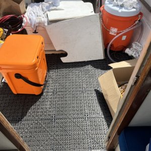 IMG 4659