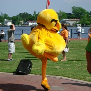 Dancing duck at potato festival