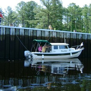 Munchkin in Dismal Swamp north end lock