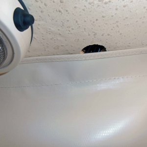 Cable hole just to rear of mounting bracket, not yet waterproofed