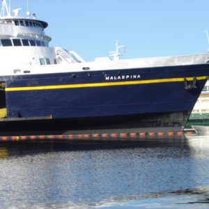 11 Sept  MALASPINA