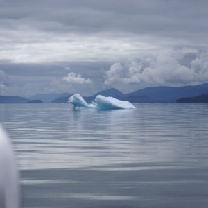 Inside Passage 2011 174 - Northbound, Frederick Sound.  Bergs from LaConte Glacier