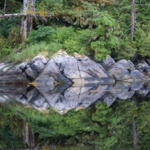 Inside Passage 2011 316  - Southbound, Hawkins Narrows, Farrant Island Cove