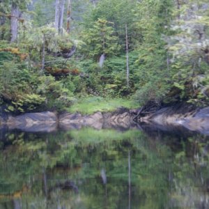 Inside Passage 2011 353 - Southbound, Codville Lagoon Marine Park