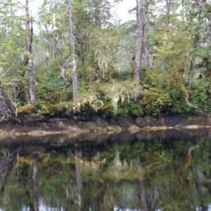 Inside Passage 2011 354 - Southbound, Codville Lagoon Marine Park