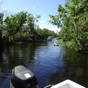 We took Peter and Becky on a full day's nature spotting trip (Birds, Turtles, Alligators and, that boat coming thru the cut looks suspiciously like.....