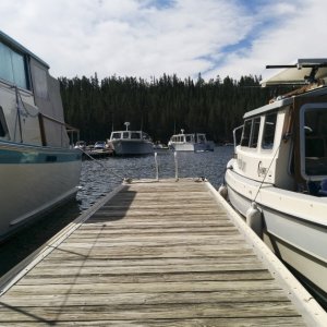 A pic for Capt Jim. Jackson Lake tour boats.