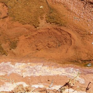In places, the water came up from below, like an artesian well.  In the center of the picture are two little "sand boils" where water is coming in from underground.  Not exactly Yellowstone, but still interesting.