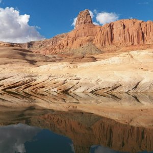Media '' in album 'Time for a quick swim in Mountain Sheep Canyon.'
