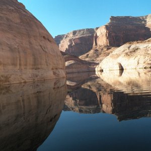 Media '' in album 'Time for a quick swim in Mountain Sheep Canyon.'