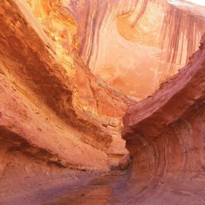 Another canyon hike.