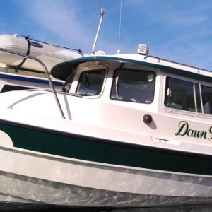 Dawn Treader in Silver Glenn 2019