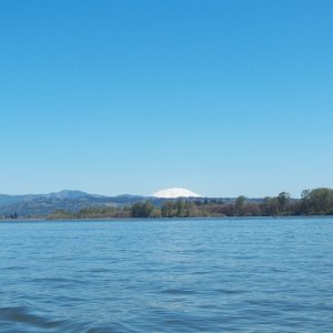 Media 'Mt. Saint Helens from the Columbia River at Ridgefield.' in album 'Mt. Saint Helens from the Columbia River at Ridgefield.'