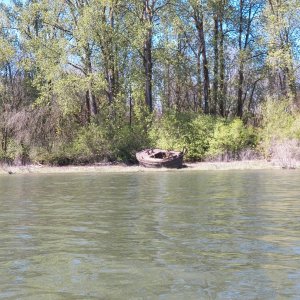 Media 'There are tides on the Columbia.  This guy seems to be waiting for the high.  Too bad it is high.' in album 'Mt. Saint Helens from the Columbia River at Ridgefield.'