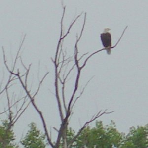 DSC06005a