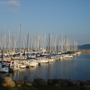 DSC06049