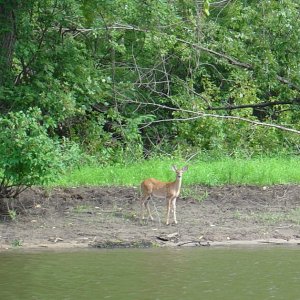 DSC06155a