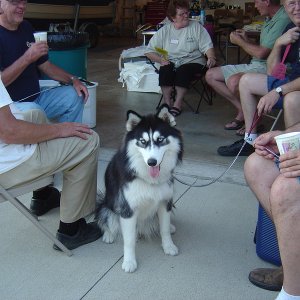 DSC06184