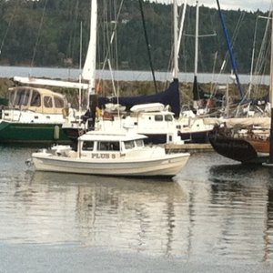 Media 'John Wayne marina after halibut fishing' in album 'Ice Cream break Friday harbor'