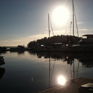 Media 'photo (17)' in album 'Ice Cream break Friday harbor'
