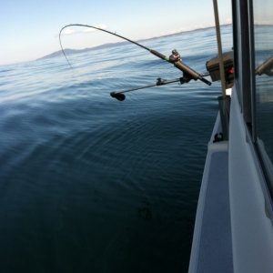 Media 'photo (18)' in album 'Ice Cream break Friday harbor'