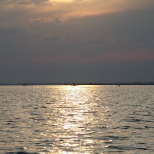 Media '16' in album '1'