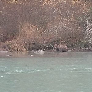 IMG 20171030 110622410