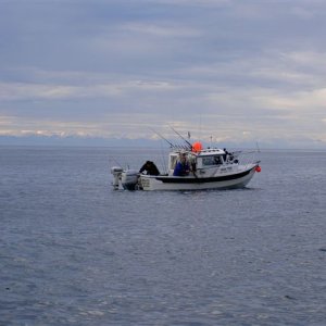 Salmon Fishing; Aug. 2004