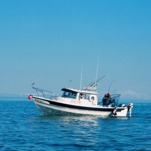 Netting a King Salmon 2005