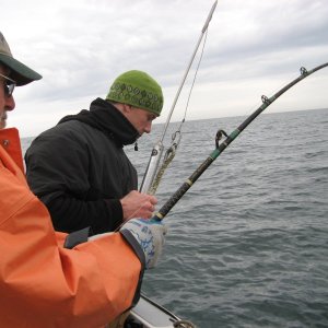 Strain on a Halibut;  May 31, 2008
Harpoon at the ready