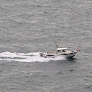 Over the waves with a load of halibut.
June 2010