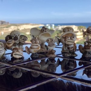 I collect seashells and glue them together into little creatures