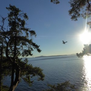 Hiking along the newly discovered Fox Cove Ridge Trail, I hear the sound of an airplane coming in low and hot.  I got the camera ready, and barely snapped this photo in time.