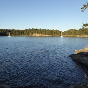 Only 3 boats in Shallow Bay